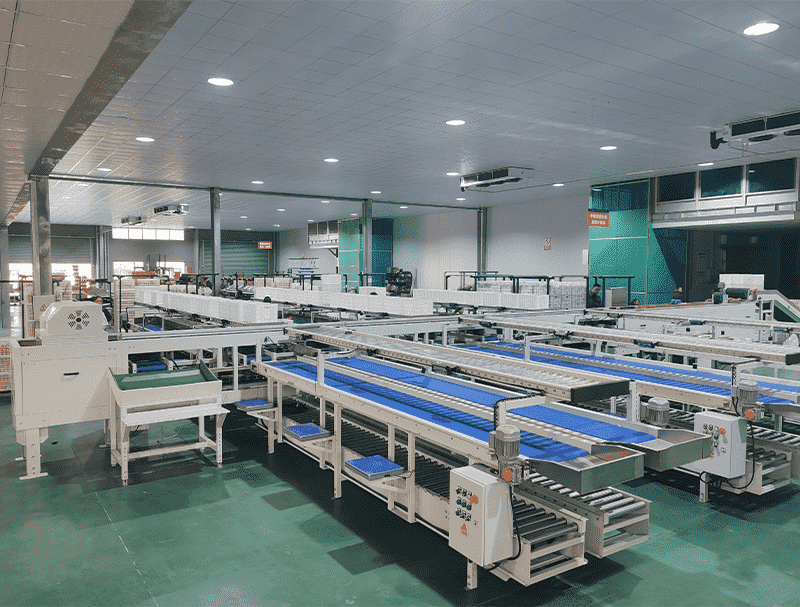 images/1747387344599Citrus Packing Line.png